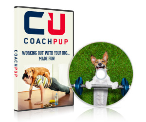 coach_pup_no_tail